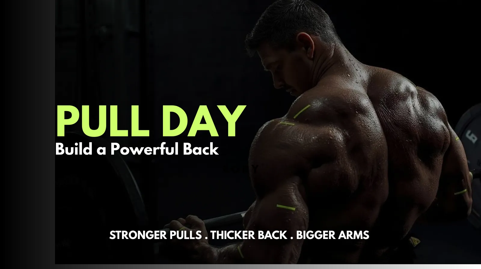 Pull Day: Build a Powerful Back