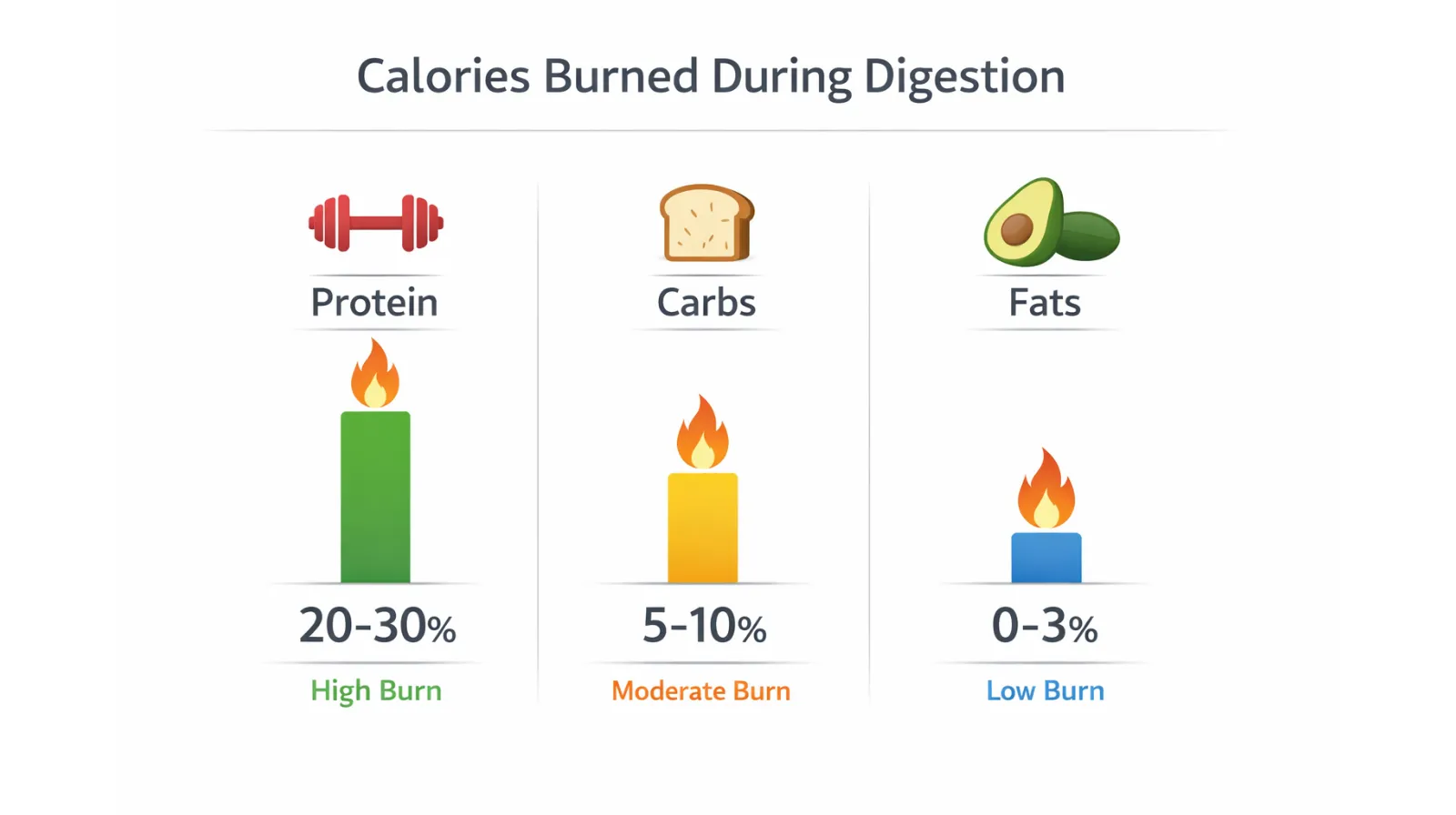 Calories vs Macros comparison
