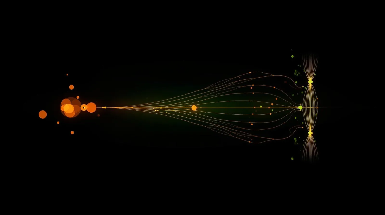 Energy partitioning — fat cells fuelling muscle growth visualisation