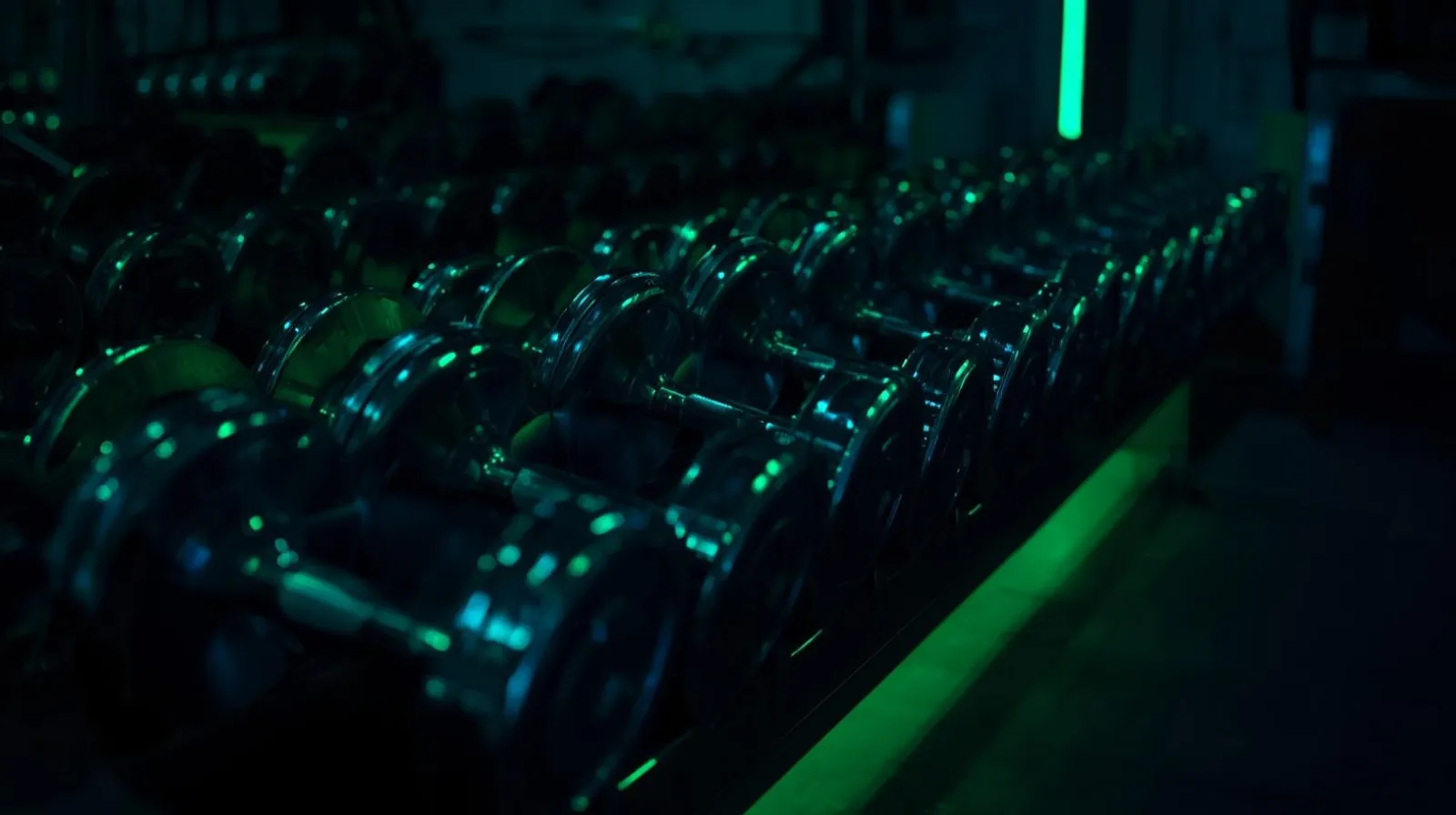Recomp vs bulk vs cut — moody neon-lit dumbbell rack in a dark gym