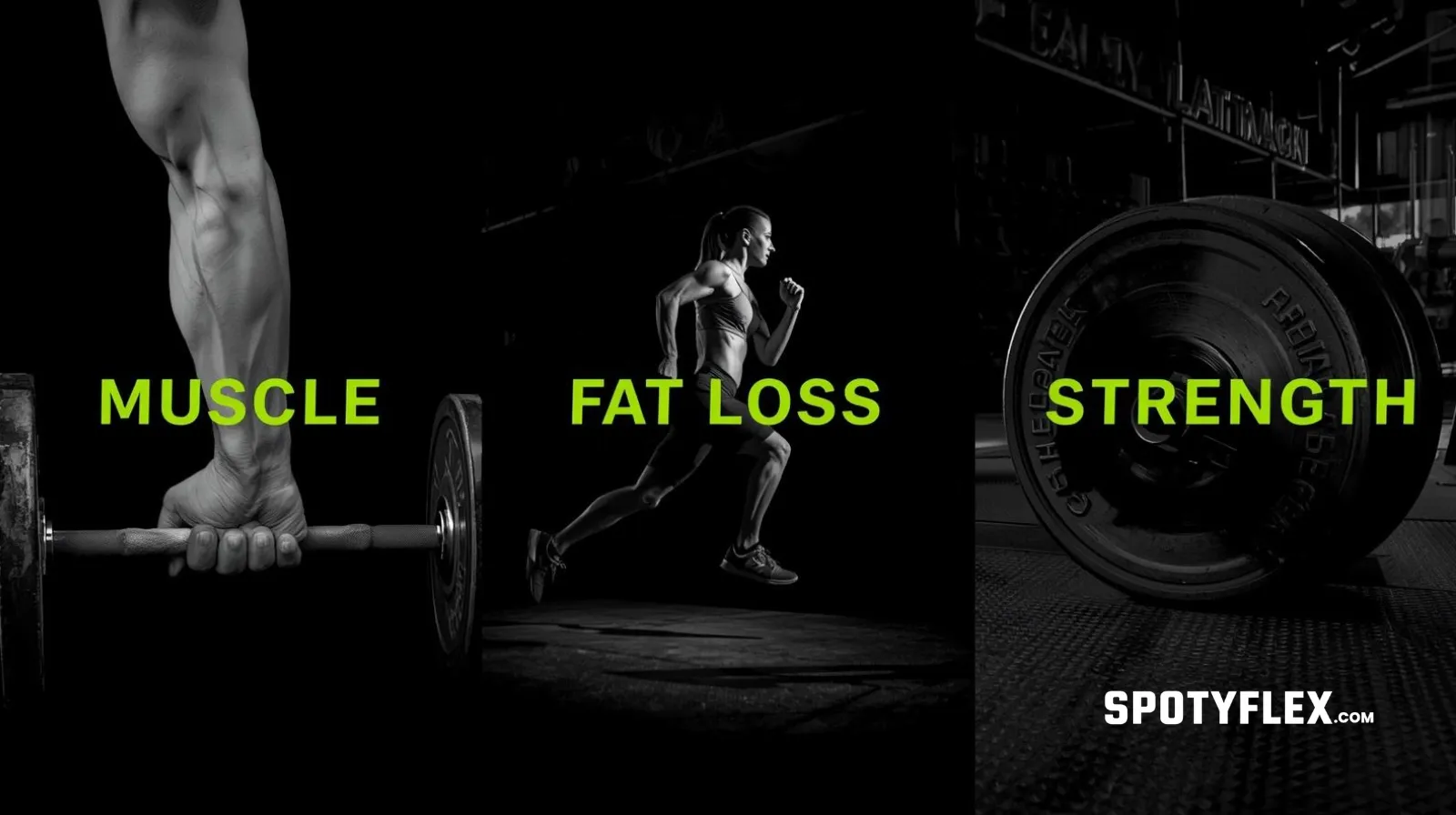 Training goals: Muscle, Strength, and Fat Loss