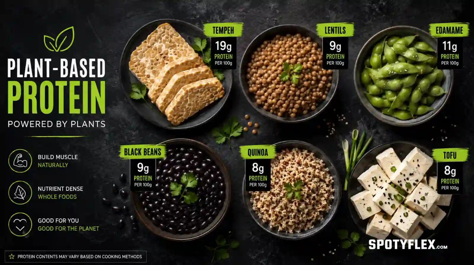 Plant-based protein sources infographic