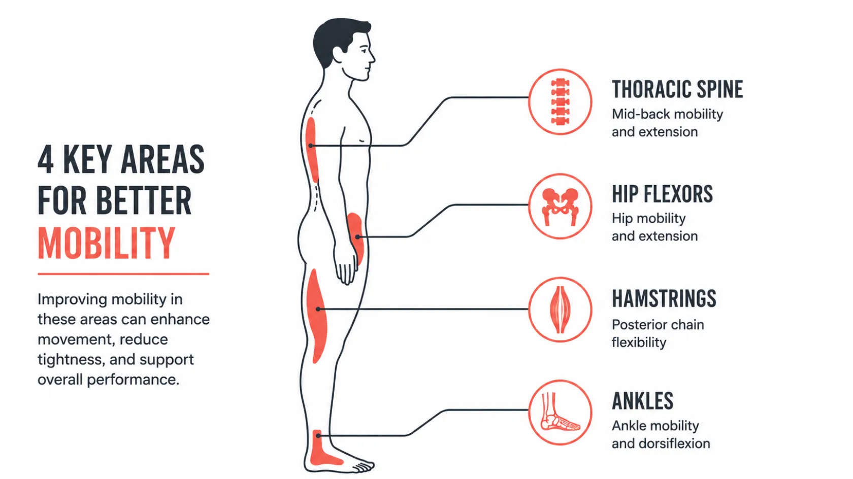 Mobility anatomy infographic
