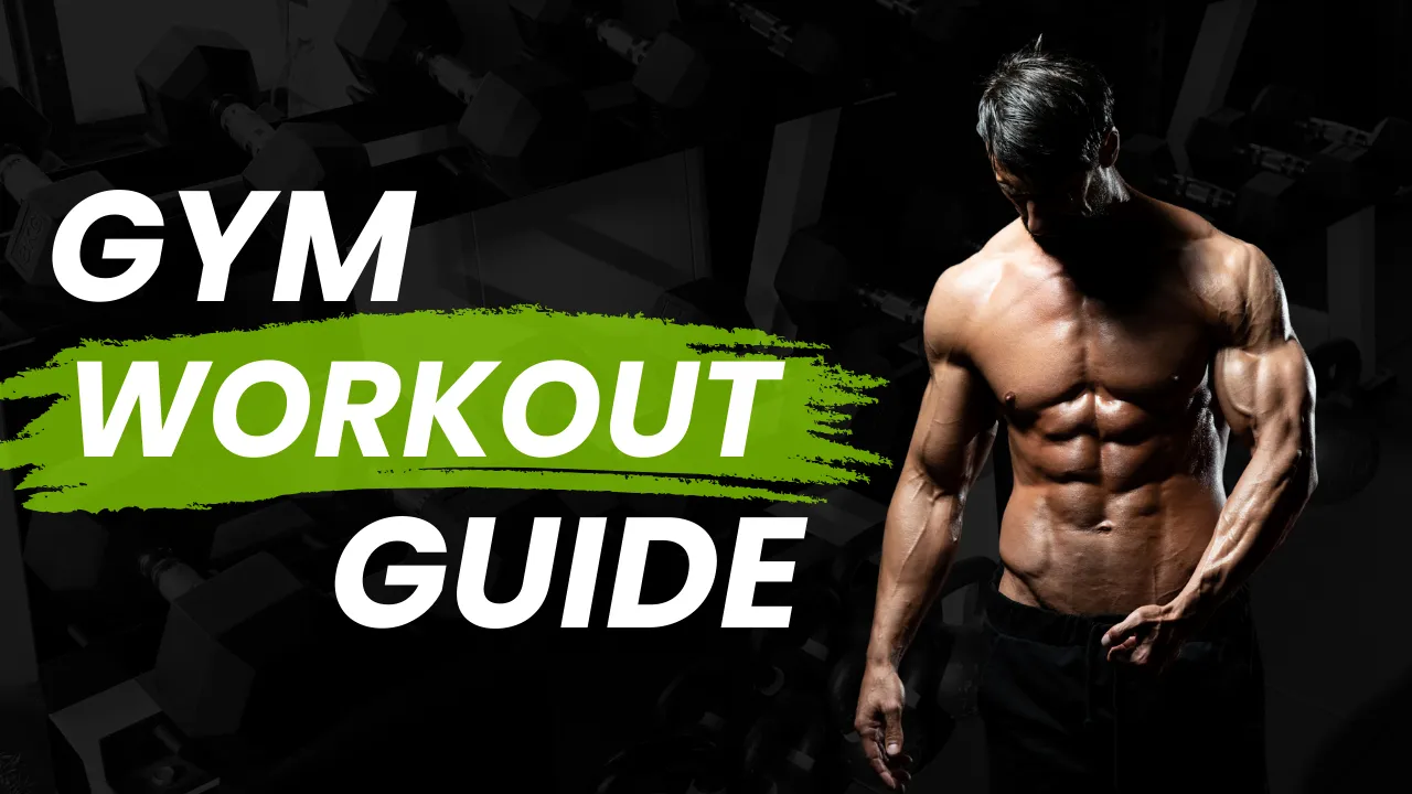 Ultimate Gym Workout Guide: Programs, Exercises & Tips for Every Level